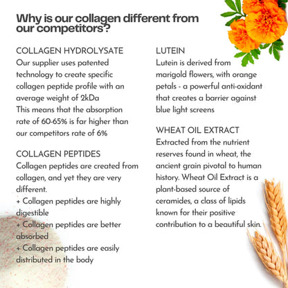 3x Nu Skin Pharmanex Beauty Focus Collagen+ NuSkin ingredient