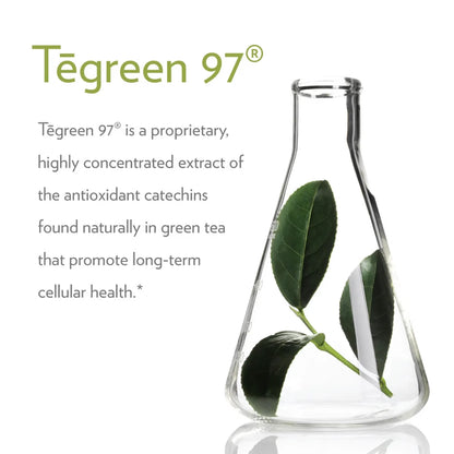 Nu Skin | Pharmanex Tēgreen 97 (30 & 120 count) | NuSkin