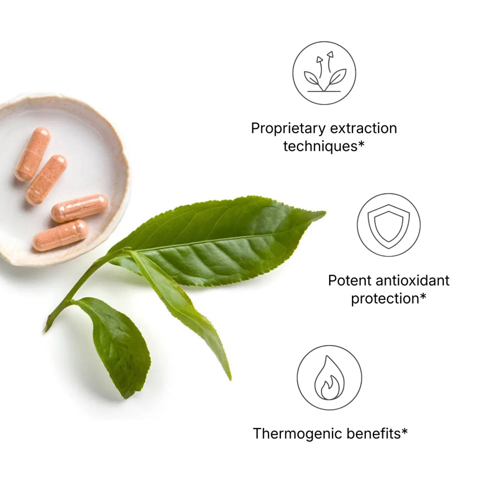 Nu Skin | Pharmanex Tēgreen 97 (30 & 120 count) | NuSkin