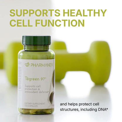 Nu Skin | Pharmanex Tēgreen 97 (30 & 120 count) | NuSkin